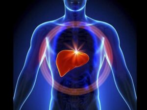 چربی بھرے جگر کے مرض کا علاج اب ہارمون تھراپی سے ممکن