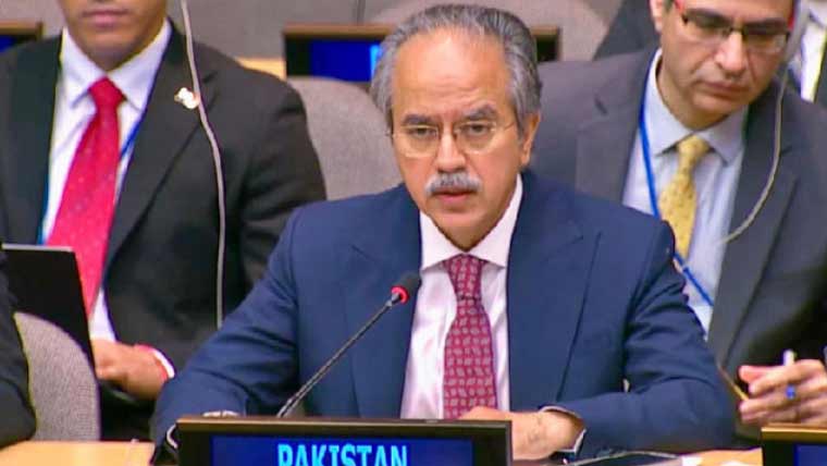 افغانستان سے دہشت گردوں کے حملے عالمی امن کیلئے خطرہ ہیں، پاکستان